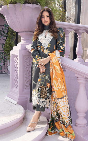 Asifa N Nabeel Amaltas (GBW-10) Gulbagh Winter Collection Online Shopping
